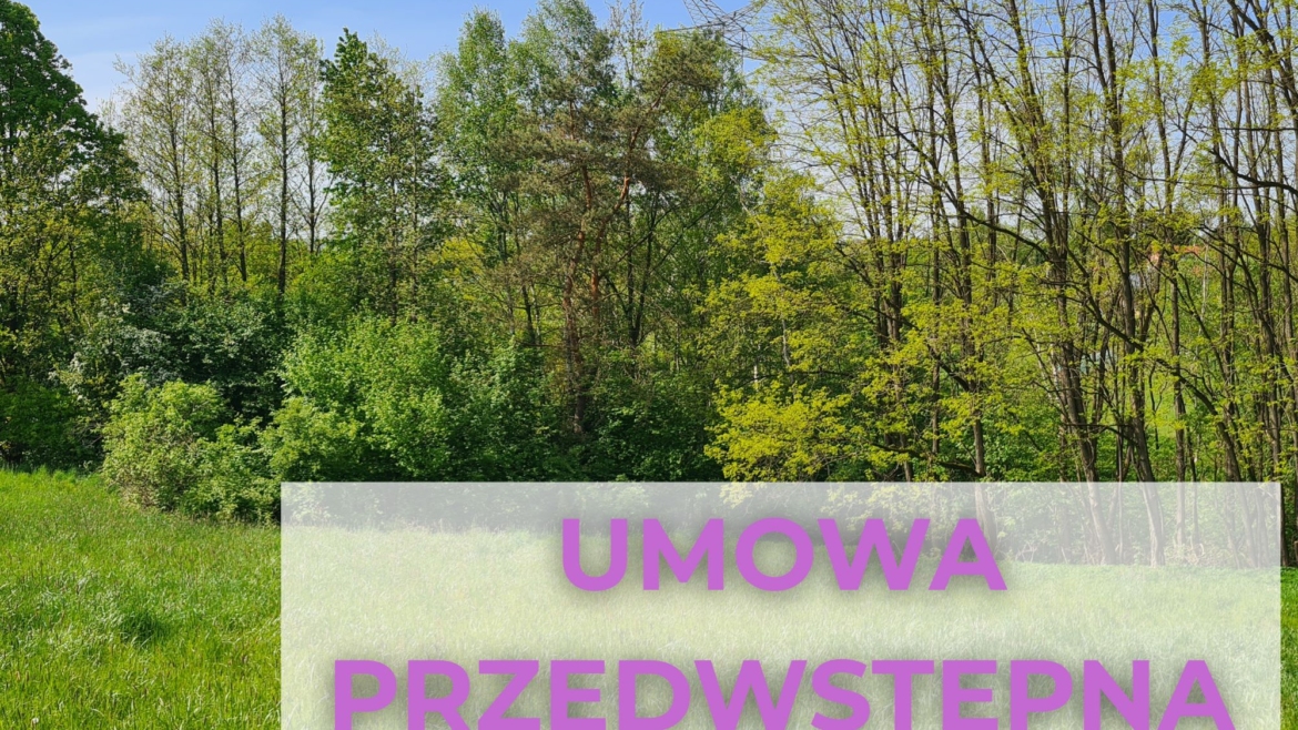 Las 1,24ha – idealny na weekend + inwestycja