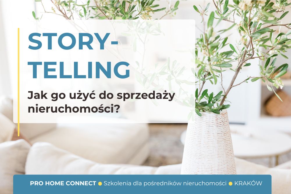zdjęcie kwiatka doniczkowego w jasnym wnętrzu